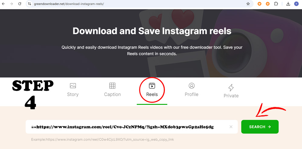 Instagram Reels Downloader